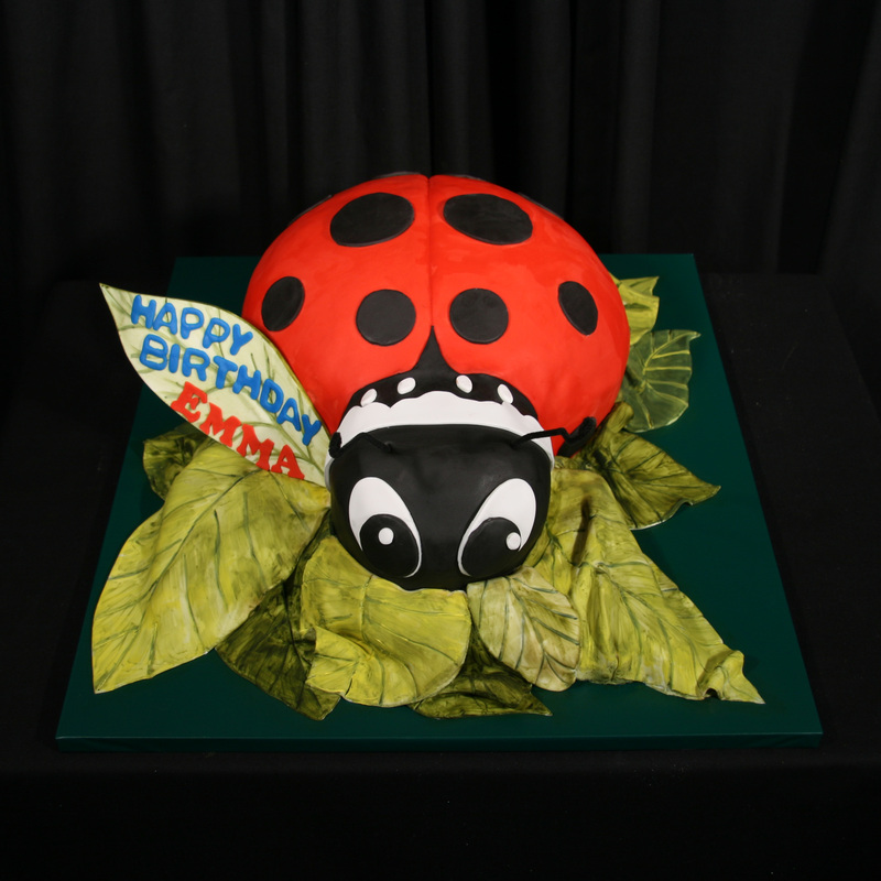 A red ladybug-shaped birthday cake with black spots and large cartoon eyes sits on a bed of green fondant leaves, featuring a leaf to the left inscribed with "HAPPY BIRTHDAY EMMA" in blue and red icing.