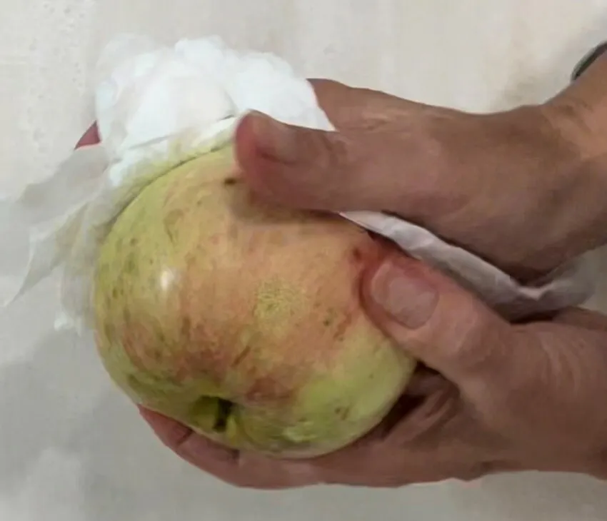 Hands wipe an apple clean with a paper towel.
