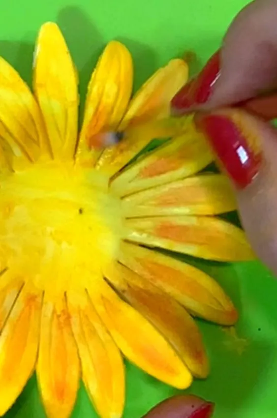 Hand touching the petals of a dried painted gumpaste sunflower.