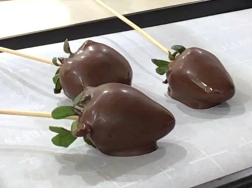 Chocolate-covered strawberries on parchment paper