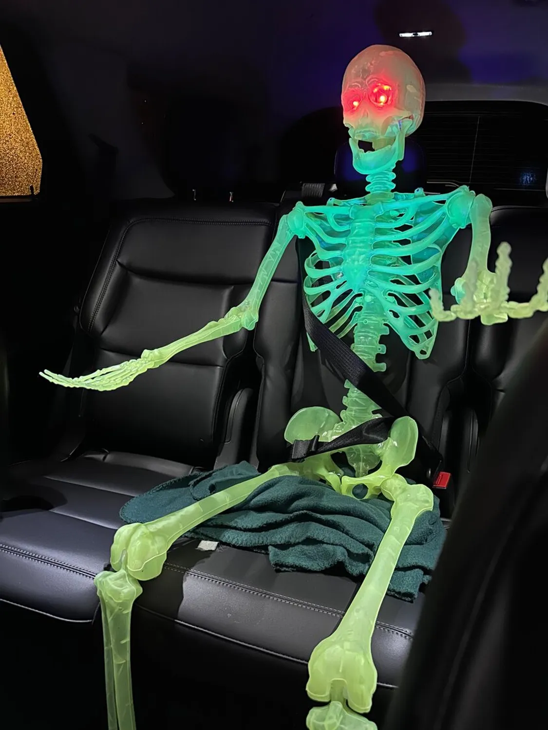 A skeleton decoration buckled up in the backseat of a car
