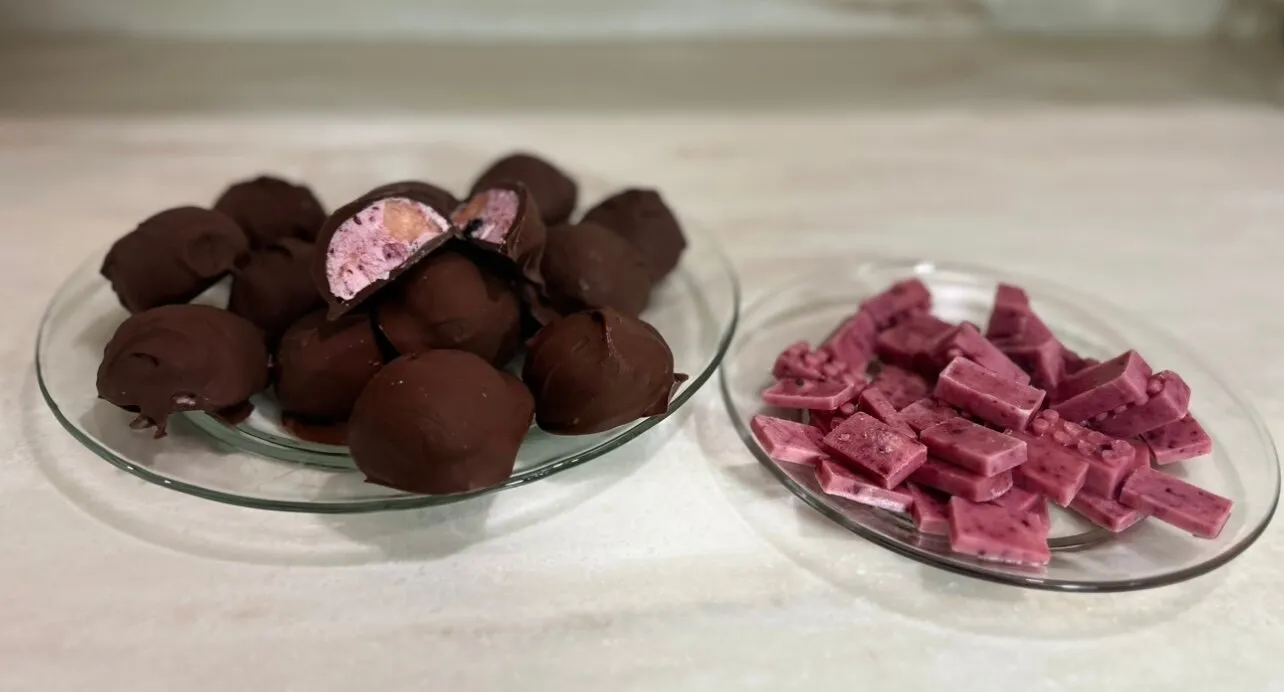 Frozen dog berry treats on a plate alongside a chocolate-covered frozen treat for humans